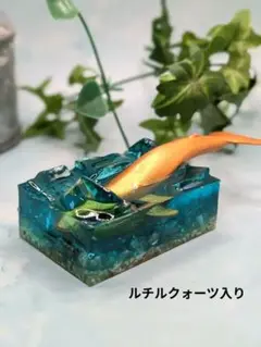 クジラのダイブ２