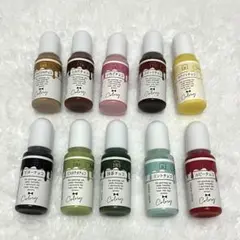 Green Ocean レジン着色剤 チョコレートカラー 10本セット