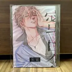 蜜果 アニメイト限定特典28P小冊子 akabeko先生