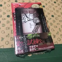エクソシストを堕とせない 1巻 初版 特典 アニメイト イラストカード 未開封