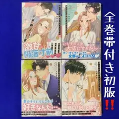 鬼上司の溺愛が止まりません 1巻 2巻 3巻 4巻 セット