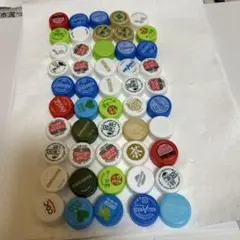 ペットボトルの蓋　100コ　11
