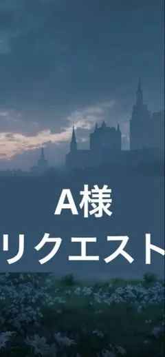 A様リクエスト