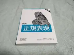 詳説正規表現