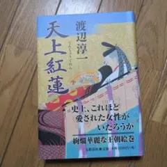 天上紅蓮　渡辺淳一