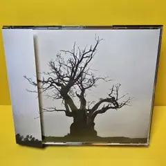 ※新品ケース交換済み　SEKAI NO OWARI 2010-2019」SEKA