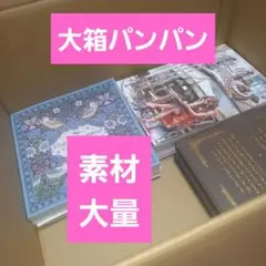 コラージュ素材まとめ売り　コラージュ素材　人物ステッカー　大箱パンパン