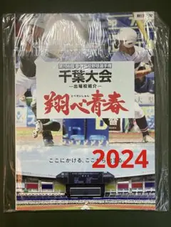 翔べ青春　第106回　全国高等学校野球選手権　千葉大会記念冊子2024