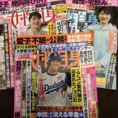 Item thumbnail for item 56a2e50c-2776-480a-9df1-5602de89af87