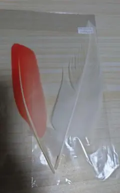 ホオジロカンムリヅル　ショウジョウトキ　羽根　羽