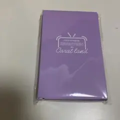 SEVENTEEN Carat Land 2020 ポラロイド