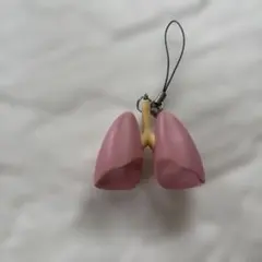 臓器　キーホルダー　肺
