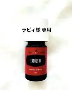 2025年最新】エクソダス ヤングの人気アイテム - メルカリ