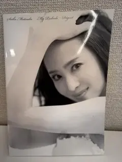 松田聖子　せいこちゃんコンサートツアーパンフレット2010
