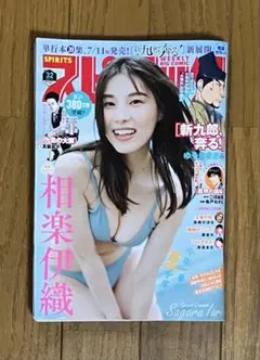 ビッグコミックスピリッツ 32 相楽伊織