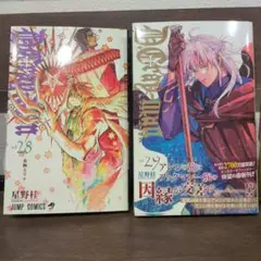 D.Gray-man 28巻、29巻セット