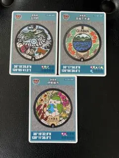 群馬県 伊勢崎市　玉村町　流域下水道 マンホールカード　3枚セット