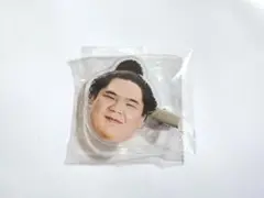 《 宇良 》 大相撲ガチャ フェイスヘアピン