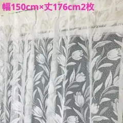特価 レースカーテン 幅150cm×丈176cm2枚
