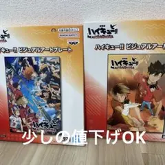 ハイキュー!! ビジュアルアートプレート 2枚セット