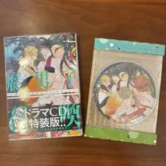 腐男子召喚6〜異世界で神獣にハメられました〜ドラマCD付き特装版