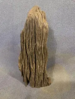 Item thumbnail for item 9ff395ad-6830-4d8e-aa02-afc023c8058a