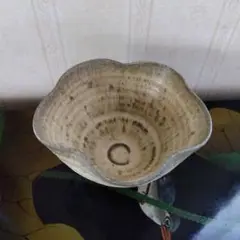 綠灰釉五葉形鉢