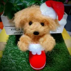 羊毛フェルト★クリスマス限定トイプードル★