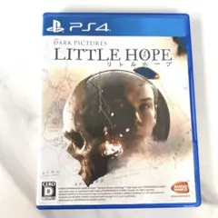 PS4ソフト リトルホープ