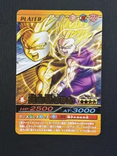 ドラゴンボールデータカードダス爆裂インパクト 孫悟飯 少年期