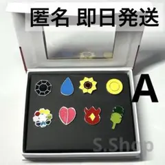 A【新品】ポケモン Pokemon ジムバッジ 8個セット 匿名 送料無料