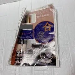 Item thumbnail for item c998dcd5-eb6d-470b-b848-31cec0fddf71