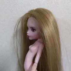 モンスターハイ カスタムドール