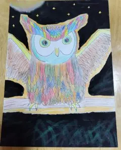 イラスト　ふくろう　カラフル　夜　30.5✕22cm