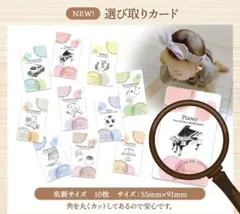 選び取りカード　1歳バースデー　一歳誕生日　新品未開封