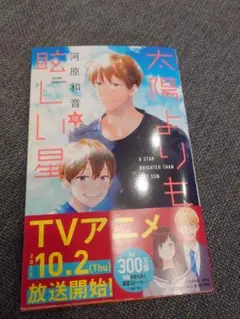 太陽よりも眩しい星 12巻