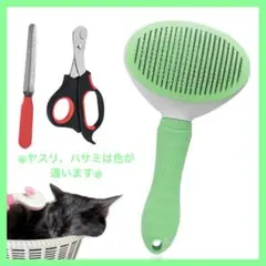 Item thumbnail for item 10a20a36-eb8d-4835-b67e-97ff0958dc44