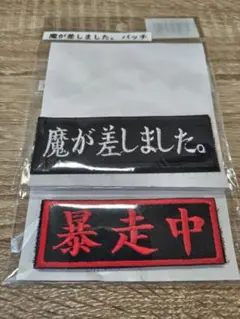 IXAENBパッチ2枚セット
