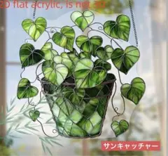 サンキャッチャー アクリル 322 ポトス 20cm