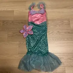 Item thumbnail for item 52d5531d-ef29-4dfb-8542-8b2c4a75abc6