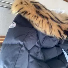 ピレネックス☆グルノーブル
