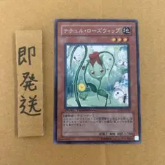 b550 ナチュルローズウィップ DT04 1枚