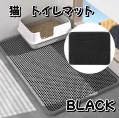 Item thumbnail for item 0eb6cbd1-e876-40fd-aa63-b2cbe37d4d98