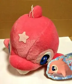 フジテレビ　ピンカと海のお友達グッズ ピンカちゃん PINKAちゃん ポストカード5枚の通販 by けんたママ