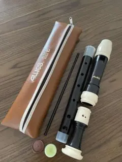 Item thumbnail for item d5e3e752-2093-4375-80e2-b7b6a13a2d30