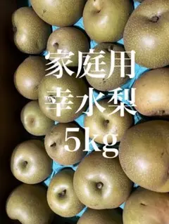 加工用 摘果梨 梱包後 20キロ - メルカリ