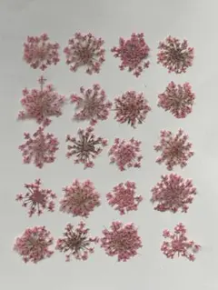 押し花素材パック　レースフラワー（薄ピンク）20個入 No1059