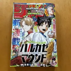 週刊少年ジャンプ2025年29号