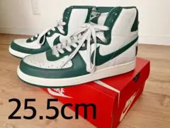 Item thumbnail for item 067555d1-661c-4366-bc7e-9604b27b1de4