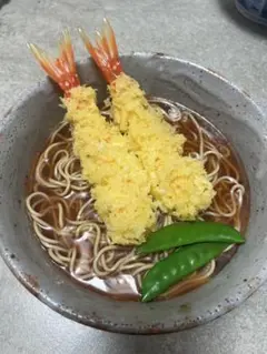 食品サンプル 天ぷらそば えび天 蕎麦 そば